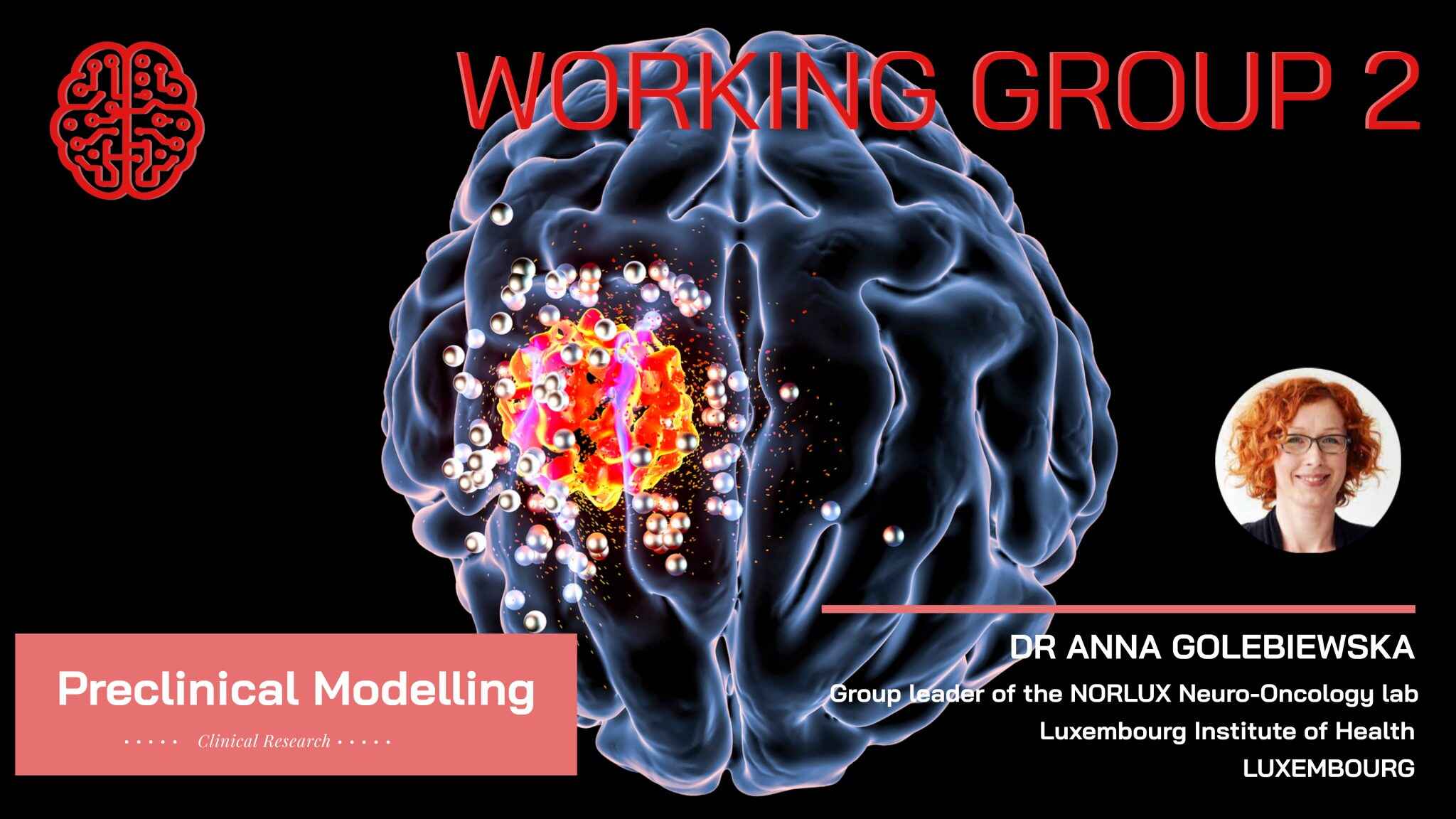 WG 2 Preclinical Modelling