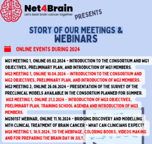Net4Brain Past Online Meetings