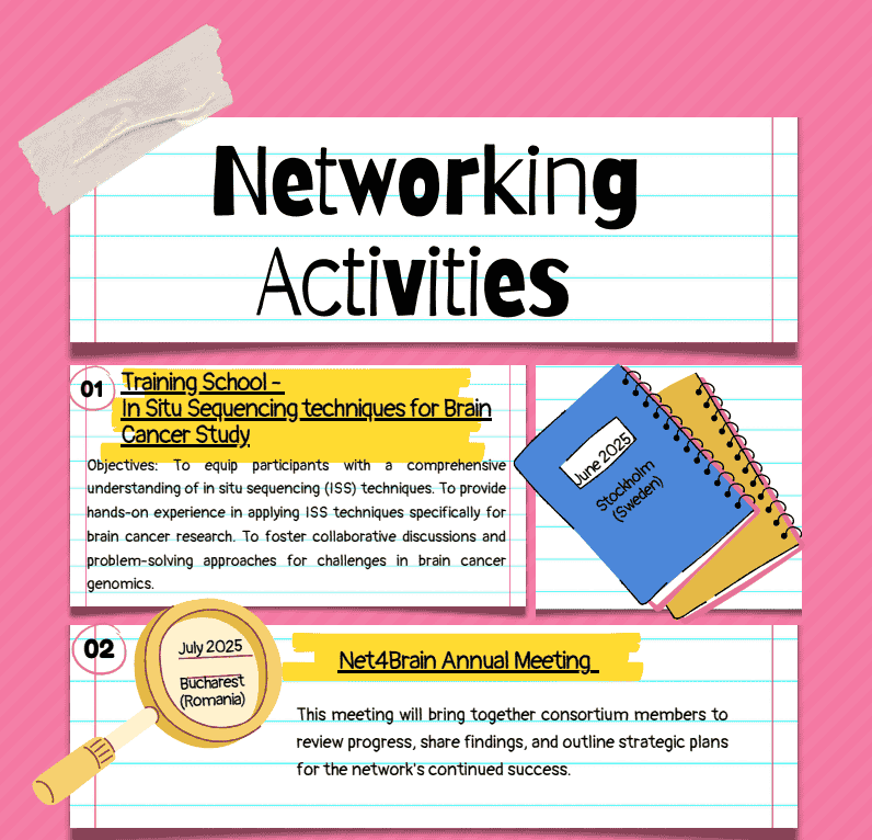 Net4Brain Activities 2025